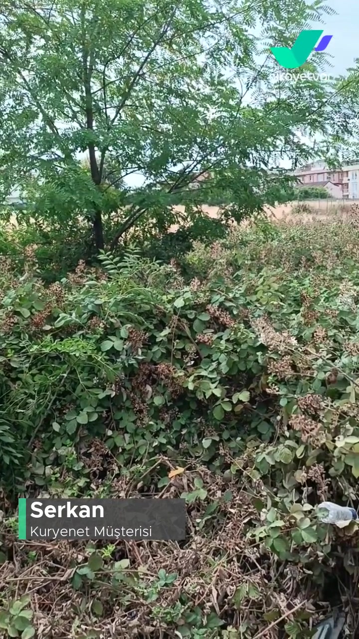 Kuryenet Kart Teslimatı Yapmama! videonun kapak resmi