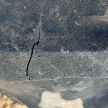 Petlas Traktör Lastiği Sorunu: Derin Yarıklar Ve Hızlı Aşınma
