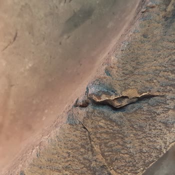 Petlas Traktör Lastiği Sorunu: Derin Yarıklar Ve Hızlı Aşınma