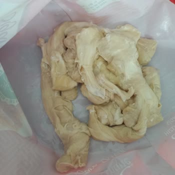 Lezzethane Sigara Böreği Plastik