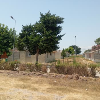 DSİ (Devlet Su İşleri) Müdürü Çıkmamı İstiyor