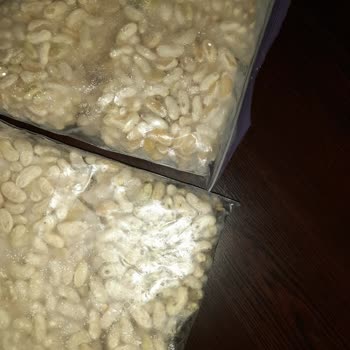 Arçelik Mağdur Edildik. Dondurucu Dondurmuyor Her Şeyimiz 2 Dolap Çöp Oldu.