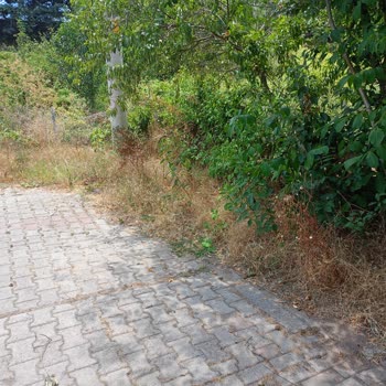 İzmit Belediyesi Park Ve Bahçeler Birimi