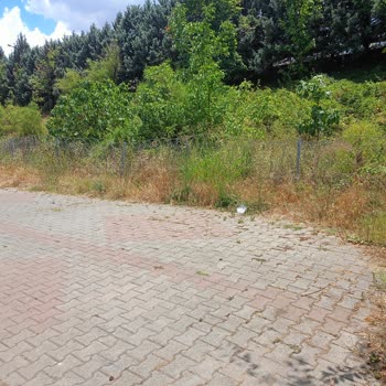 İzmit Belediyesi Park Ve Bahçeler Birimi