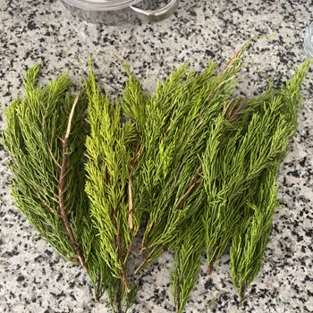 ÇiçekSepeti Çiçek Siparişimde Büyük Hayal Kırıklığı Yaşadım