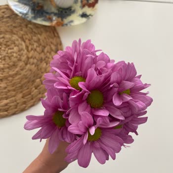ÇiçekSepeti Çiçek Siparişimde Büyük Hayal Kırıklığı Yaşadım