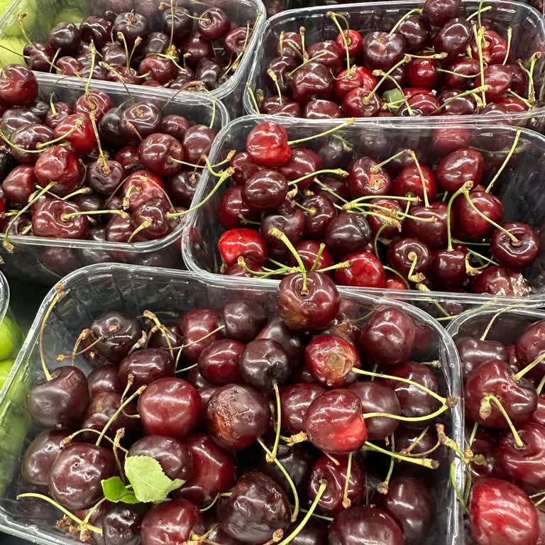 Dudullu Çağrı Market Klima Sorunu