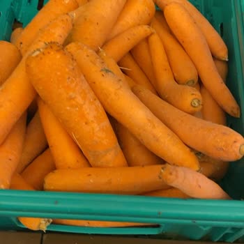 Hadımköy Yolu Şok Market