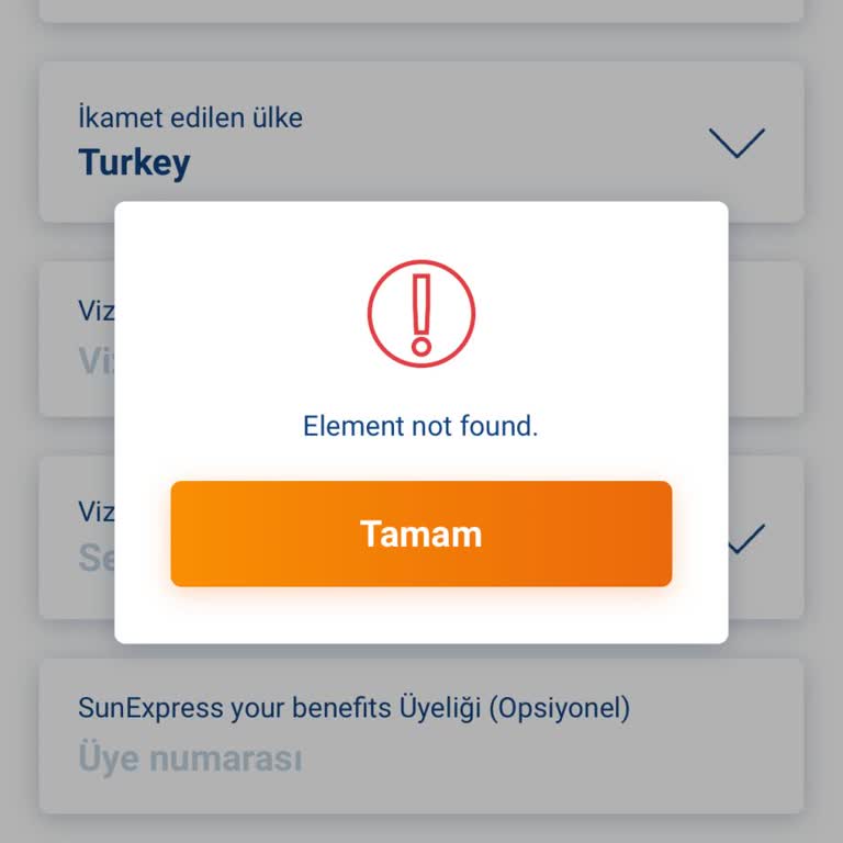 Sunexpress Online Check-in Sorunu Ve Müşteri Hizmetleri Eksikliği