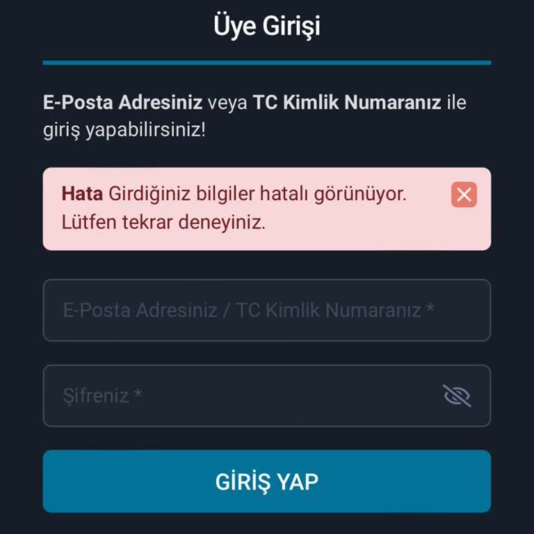 BTCTURK Hesabıma Giriş Yapamıyorum