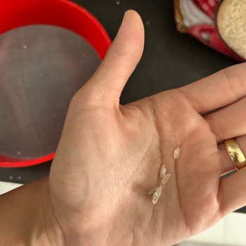 Yayla Bakliyat Gönen Baldo Pirinç İçinden Çıkanlar