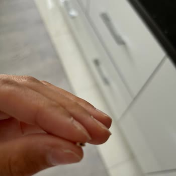 Yayla Bakliyat Gönen Baldo Pirinç İçinden Çıkanlar