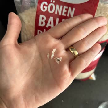 Yayla Bakliyat Gönen Baldo Pirinç İçinden Çıkanlar