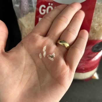 Yayla Bakliyat Gönen Baldo Pirinç İçinden Çıkanlar