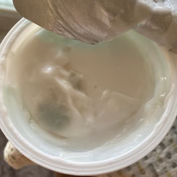 Nilky Hindistan Ceviz Yoğurdu