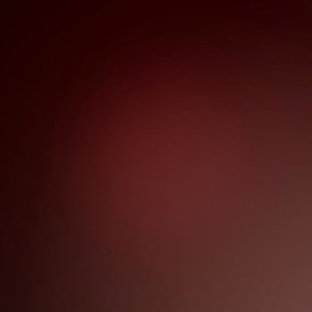 Gerdan Gurme Kara Kuru Bir Tavuk Geldi