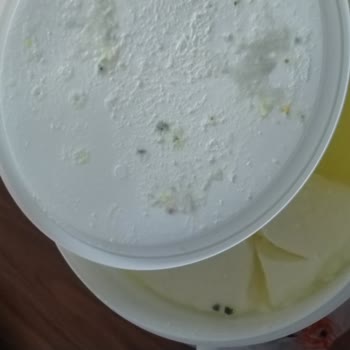 Ateşoğlu Süt Küflü 5 Kg Yoğurdu