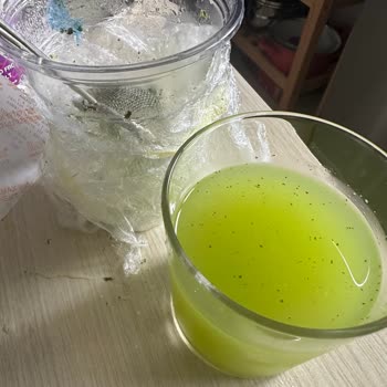 Big Chefs Limonatadan Çıkan Plastikler