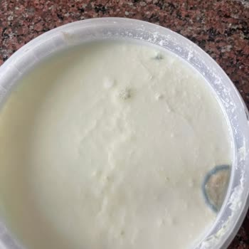 Sütaş Tarihi Geçmemiş Fakat Küflü Yoğurt
