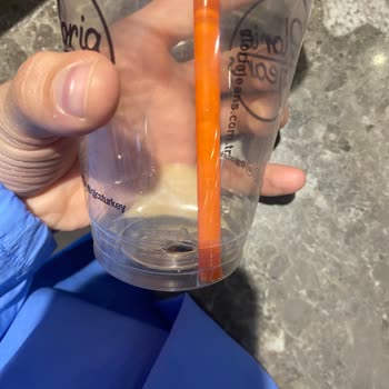 Gloria Jean's Coffees Kahveden Çıkan Kara Sinek