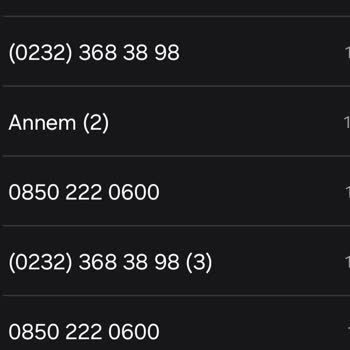 ING Havale İşlemleri Sorunu