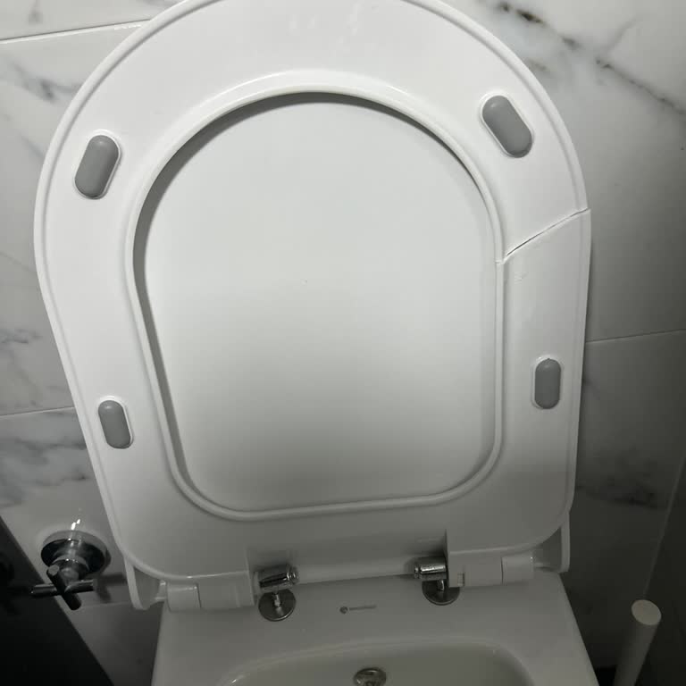Seramiksan Klozet Kapağı Kırılma Sorunu