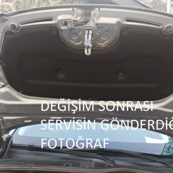 Peugeot 2008 Aracımda Yeni Kaput Keçesini Kemirgenler Tekrar Yedi