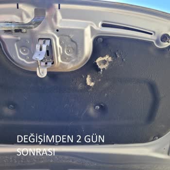Peugeot 2008 Aracımda Yeni Kaput Keçesini Kemirgenler Tekrar Yedi