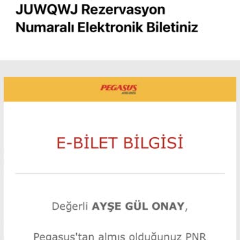 Pegasus Yanlışlıkla 2 Bilet Aldım