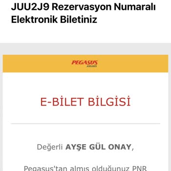 Pegasus Yanlışlıkla 2 Bilet Aldım
