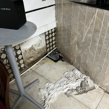 Jura Hotels Kemer Resort Jura Kemer Hotel