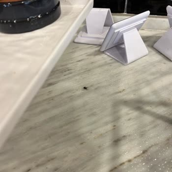 Prive Hotel Didim Yemeklerden Salatalardan Kara Sinek Ölüleri Çıkıyordu