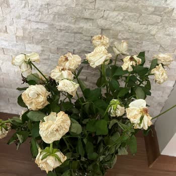 Çiçek Sepeti Taze Olmayan Çiçekler Ve Müşteri Memnuniyetsizliği