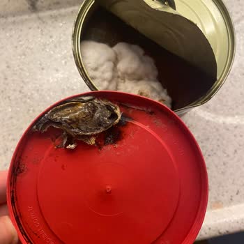 Tukaş Küflü Domates Salçası