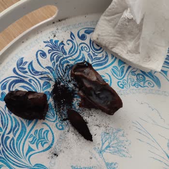 Türkiye Mahsul (Trakya Mahsul) Kömür Gibi Hurması