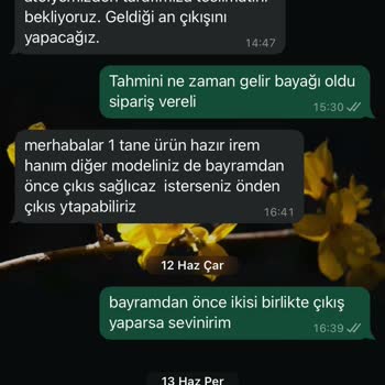 I Love Shoes Firması İlgisizliği, Sipariş Teslim Edememesi