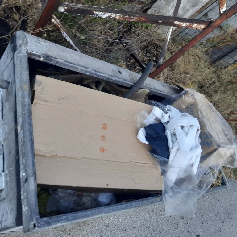 Altındağ Belediyesi Kronikleşmiş Sinek Ve Çöp Sorunu