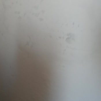 Marshall İç Cephe Boyası Pişmanlık