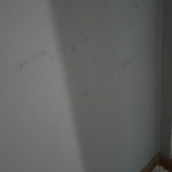 Marshall İç Cephe Boyası Pişmanlık