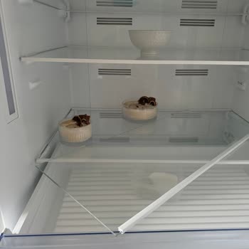 Samsung RB50RS334SA Buzdolabı Soğutmuyor