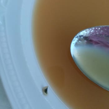 Dimes Meyve Suyunun İçinden Çıkan Yabancı Maddeler