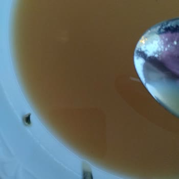 Dimes Meyve Suyunun İçinden Çıkan Yabancı Maddeler