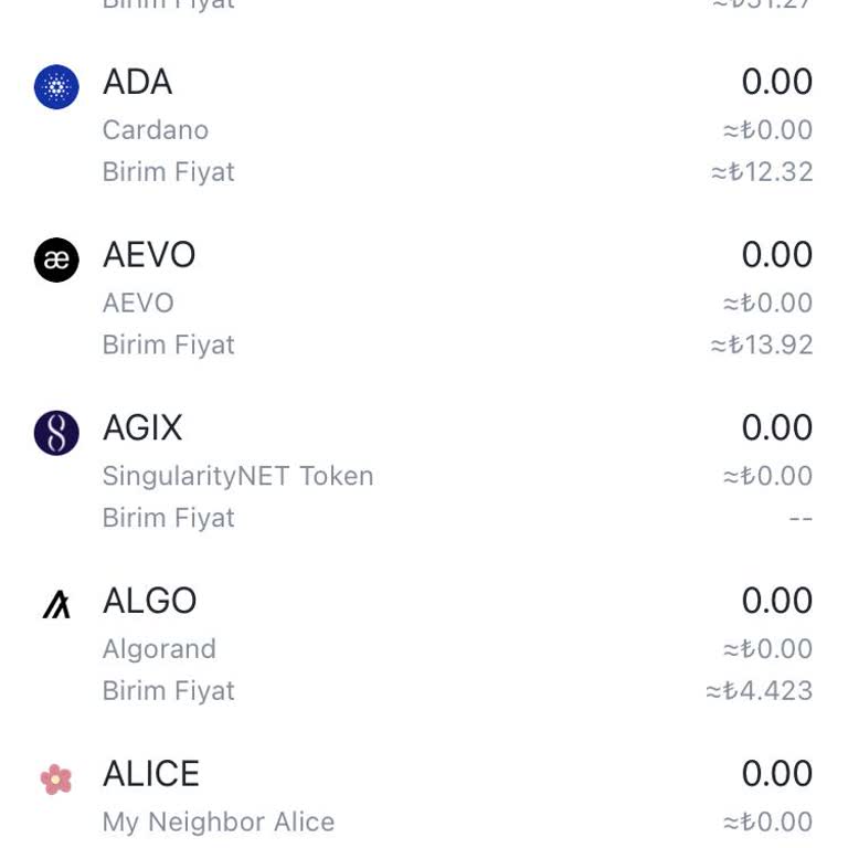 Binance TR Hesapta Agix Coinlerim Yok