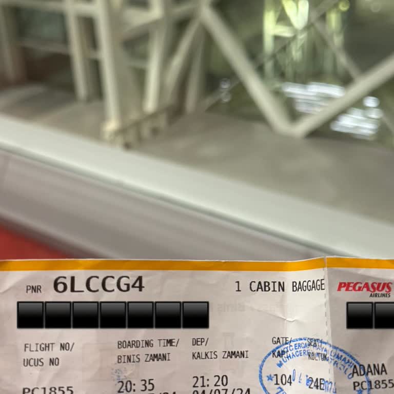 Pegasus İlgisizlik, Vurdumduymazlık, Hamile Eşime Su Bile Verilmemesi