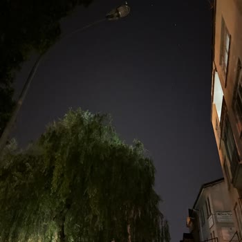 Medaş Ekipleri Uyuyor - Aydınlatmalar Çalışmıyor