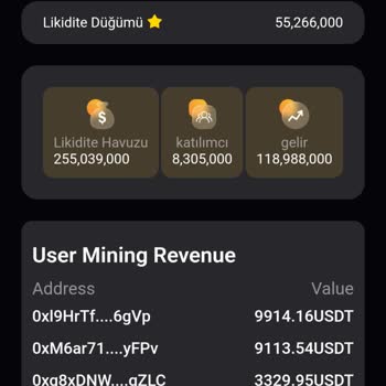 Binance USDT Portal Yatırımında Sorun: Paramı Geri Alamıyorum!