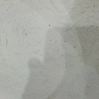 Piyale Marka Un İçerisinde Böcek