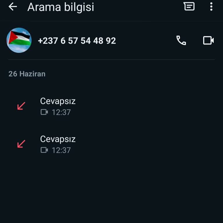 WhatsApp +237 Ülke Kodlu Numaradan Görüntülü Arama