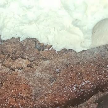 Tekirdağspor Sosyal Tesisleri Pastaları Bozuk Çıktı