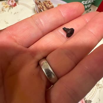 Eti Gıda Eti Markasından Şikayet Var